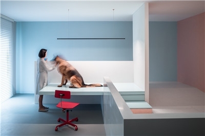 以色彩建构空间:犬之宅 / 左通右达建筑工作室