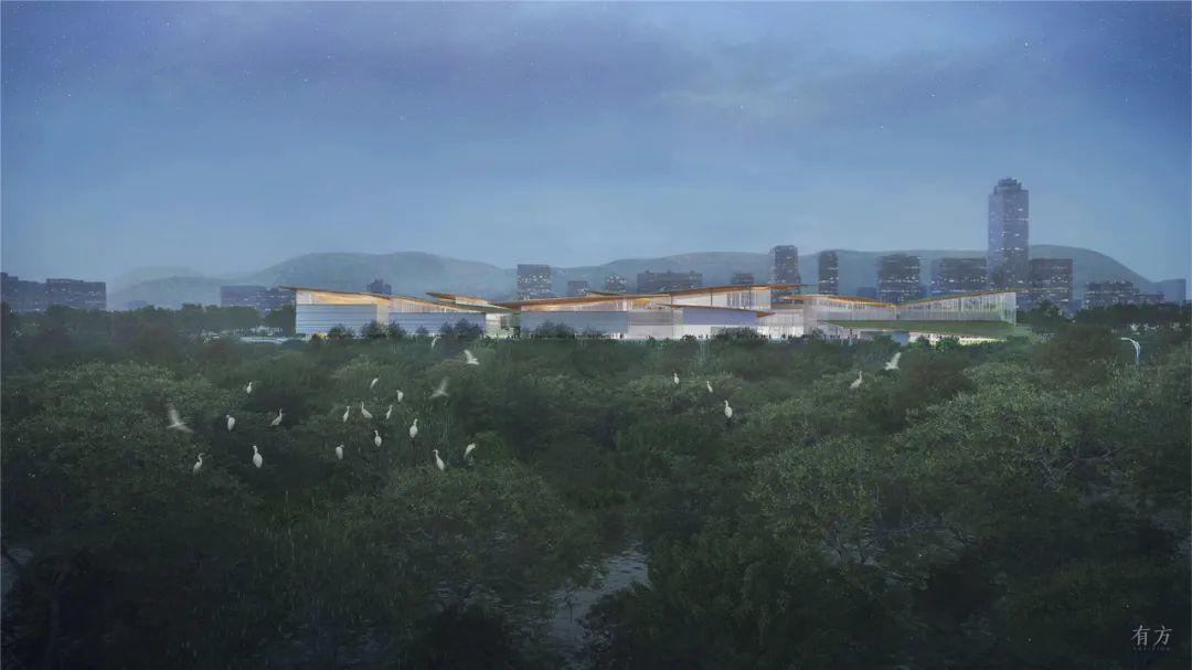 大舍建筑swa最新方案深圳红树林湿地博物馆高台飞鸟