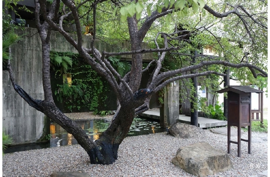 有方讲座6场｜周榕：在地建筑学——从行走到植根