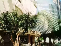 建筑5分钟04 | 柳亦春：边走边唱