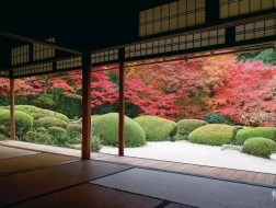 建筑5分钟15 | 董豫赣：为看尽美景，日本人对庭园做了什么？