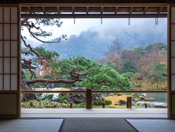 “物哀”背景下的怜山惜水：王欣眼中的日本古典庭园