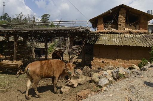 昆明小水井、白水塘村研究 | 中国空间研究计划18