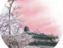 三月武大，当手绘遇上镜头中的樱花