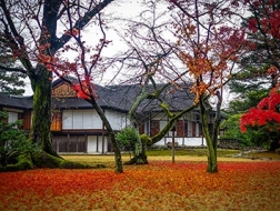 招募结束 | 日本古典庭园·第5期·红叶季
