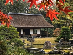 旅行现场 | 日本之美，庭园之心