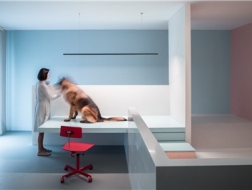 以色彩建构空间：犬之宅 / 左通右达建筑工作室