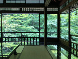 京都的自由意志和决定论：荣光在于长眠