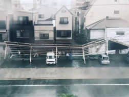 日本遭25年最强台风：醍醐寺、西本愿寺等世遗古建情况不容乐观