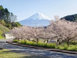招募结束 | 日本现当代建筑寻踪·第20期·樱花季（2019年3月29日—4月6日）