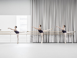 让优雅流转在每个角落：澳大利亚芭蕾舞团全新空间 / HASSELL