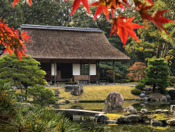 招募结束 | 心像的风景：日本庭园·第7期·红叶季（2019年11月17日—11月24日）
