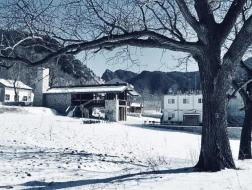 假如回归需要一个理由：蓝田县九间房镇油坊坪村 / 中国建筑西北设计研究院有限公司