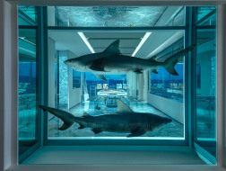 设计酒店06 | 顶级艺术家Damien Hirst在赌城造了一场20万美元的梦