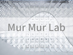 不囿于传统，于不意中见真知：Mur Mur Lab