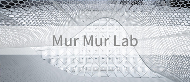 不囿于传统,于不意中见真知:Mur Mur Lab