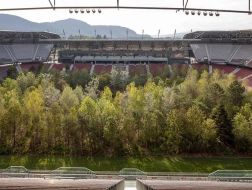 奥地利最大公共艺术作品开放：去球场，看树林