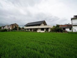 面向田野的住宅：非典型性反乌托邦乡建 / 空格建筑