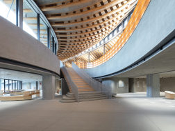 四片屋顶下的自由空间：天草市综合设施“KOKORASU” / 日建设计