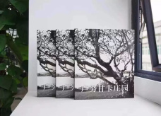 中文首版 | 巴瓦巨著《卢努甘卡庄园》，黑白影像呈现20世纪最杰出私人园林