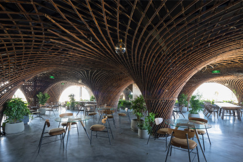 Nocenco咖啡厅：以竹为“柱”、编织成拱 / 武重义建筑事务所