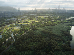 大舍建筑+SWA最新方案：深圳红树林湿地博物馆，高台飞鸟