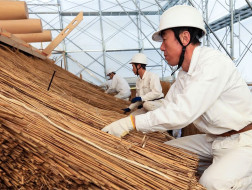 日本木构建筑保护与传承相关传统技艺等，列入《人类非物质文化遗产代表作名录》