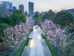 上海南京西路绿地更新设计：城市中心的线性花园 / VIA维亚景观