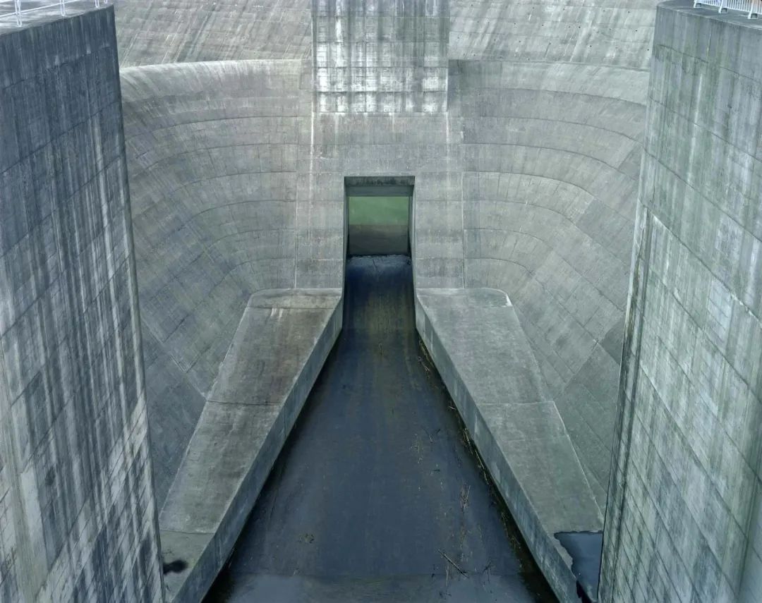 柴田敏雄 DAM-