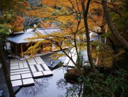 轻井泽，京都，富士……住进虹夕诺雅的世界里