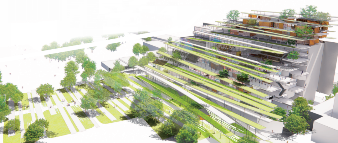 黄翔龙+平田晃久赢得台湾大学艺文大楼设计竞赛，打造连接过去与未来的“绿之丘”