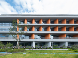 浙大院新作：杭州江南实验学校教育集团江晖小学，光影游戏