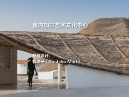 塞内加尔艺术文化中心 | Toshiko Mori