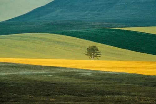 极简主义彩色摄影：Franco Fontana