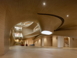 上海格林新蕾市北幼儿园：树洞中的造梦空间 / 华建集团—刘海洋团队