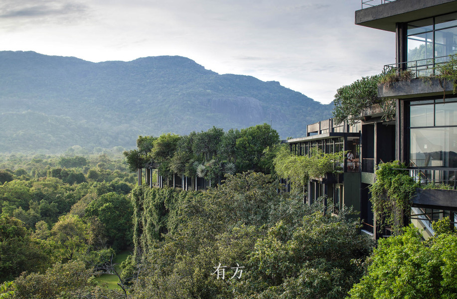 旅行招募 限时优惠｜花园里的花园：杰弗里·巴瓦的建筑与庄园·第15期（金秋野版，2025年4月30日—5月7日）