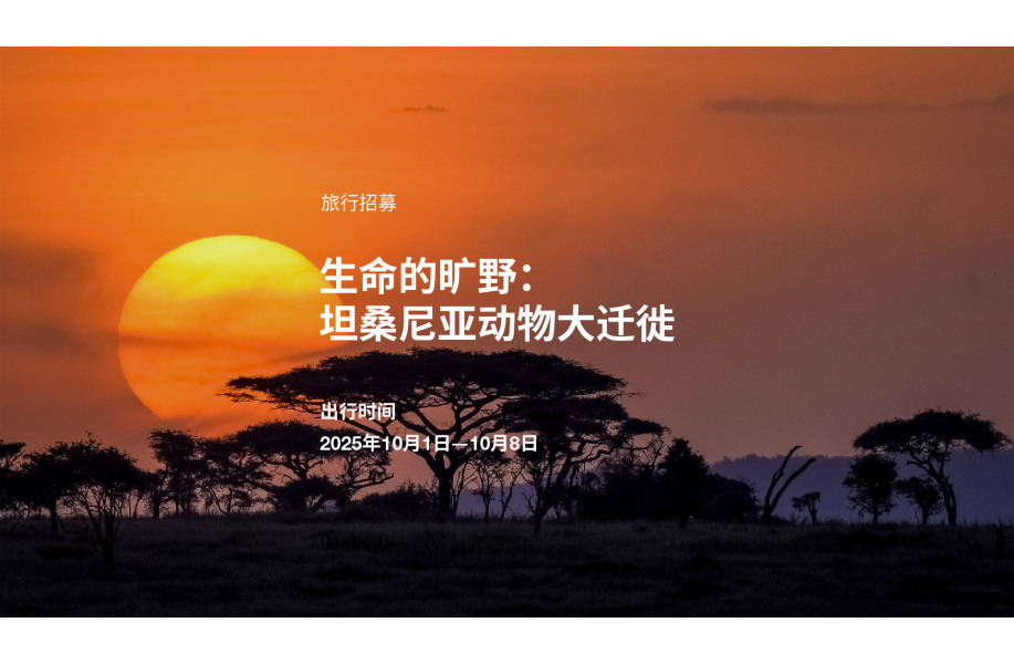 旅行招募｜生命的旷野：坦桑尼亚动物大迁徙（2025年10月1日—8日）