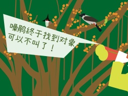 MLA+在地观察：华侨城创意园的12棵树，你都认识吗？