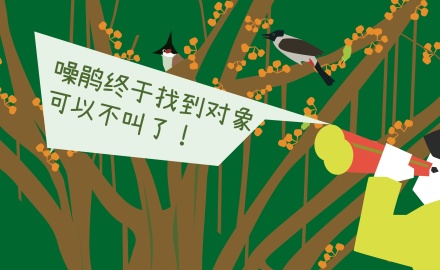MLA+在地观察：华侨城创意园的12棵树，你都认识吗？