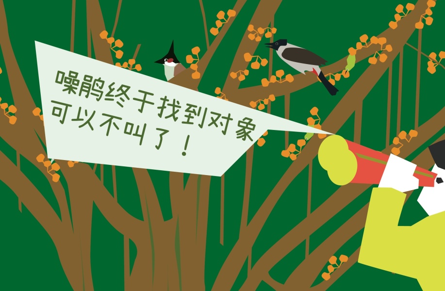 MLA+在地观察：华侨城创意园的12棵树，你都认识吗？